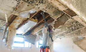 Best Commercial Mold Inspection in Church Hill, PA